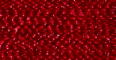 Burgundy - PF194