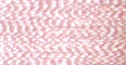 Rose Carolina - PF1011
