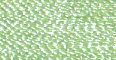 Winter Spring - 

PF243