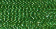 Woodland Green - PF245