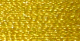 Sunflower - PF503