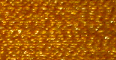 Autumn Gold - 

PF516