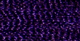 Arab Plum - PF635