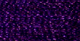 Purple Passion - 

PF695