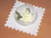 Cutwork 101 - Tutorial & Designs