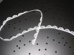 Blossom Delight - Edging/Cutwork