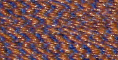 Blue/Peach - FU05