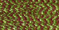 Green/Wine - FU07