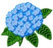 Hydrangea-FSL