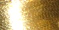 Metallic Gold - G2