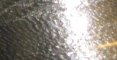 Metallic Silver - G27