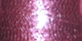 Metallic Pink - G37